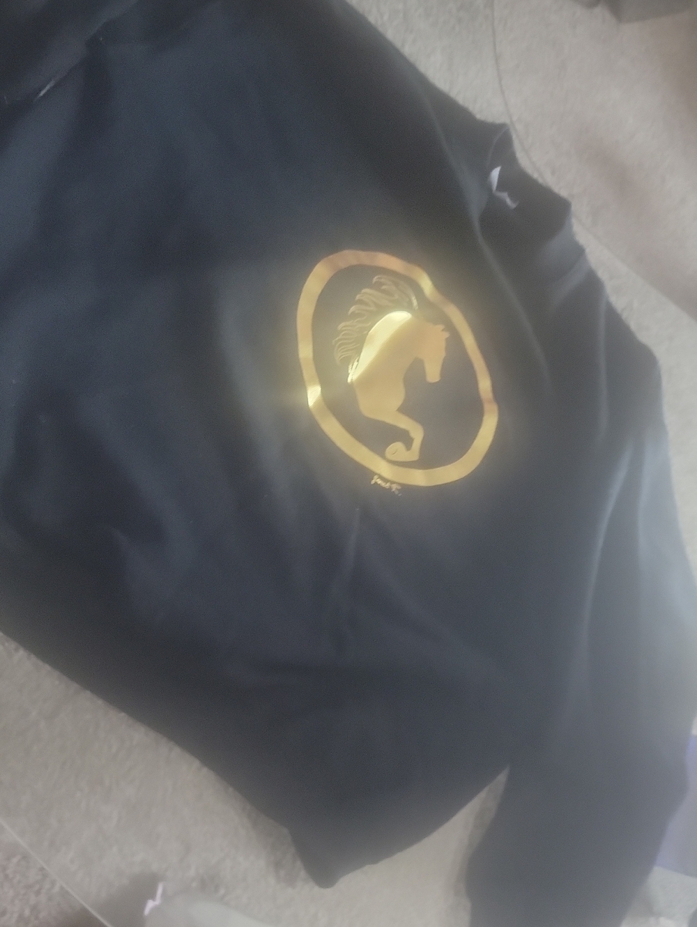 Fruit of the Loom Black Sweatshirt with Metallic Gold Horse Emblem